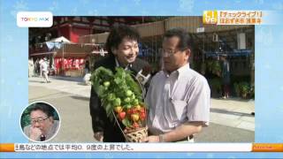 チェックタイム　浅草寺　ほおずき市