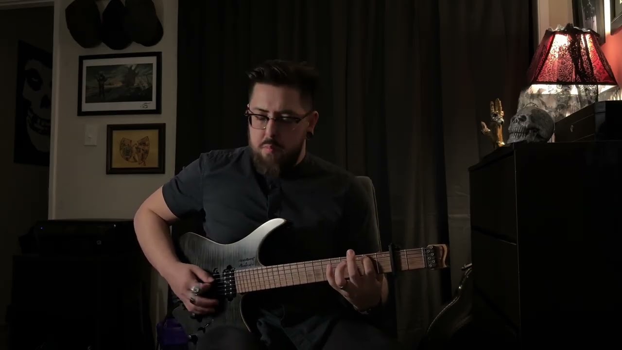 Heart & Feather | Twin Tribes | Guitar Cover