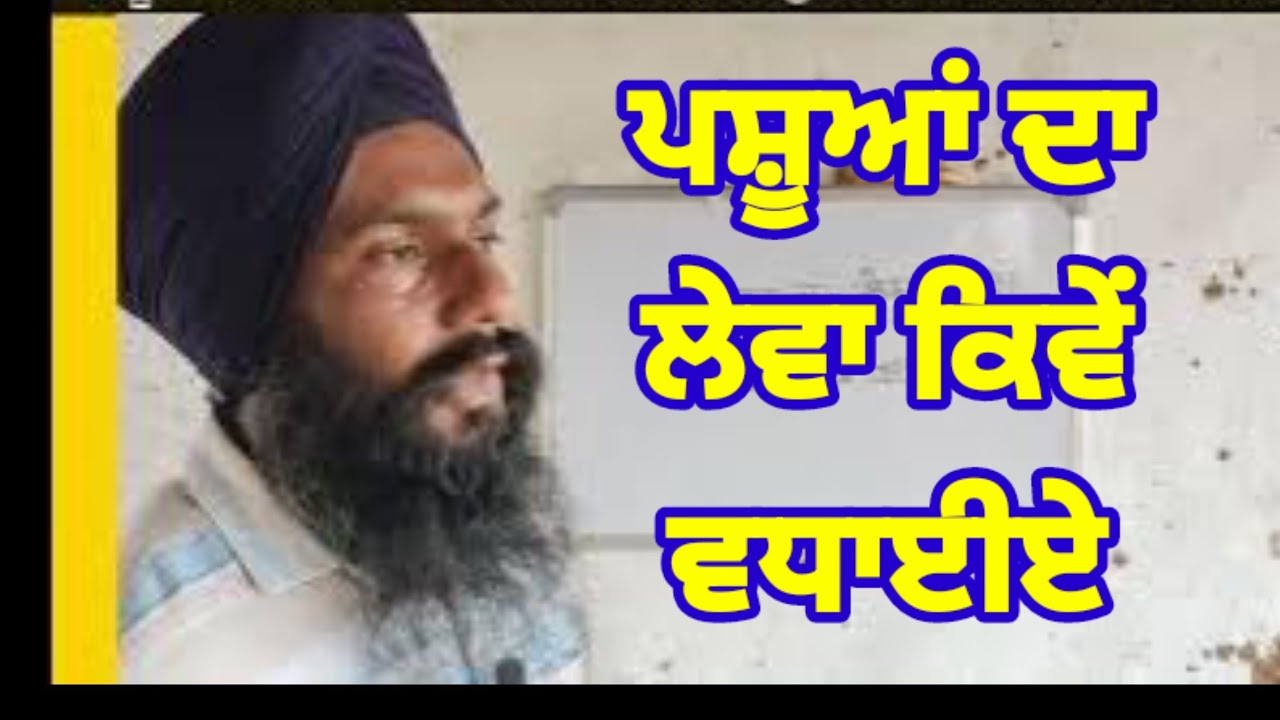 ਪਸ਼ੂਆਂ ਦਾ ਲੇਵਾ ਜਾਂ ਹਵਾਨਾ ਵੱਡਾ ਬਣਾਉਣ ਲਈ ਕਿਹੜਾ ਟੀਕਾ ਲਾਈਏ? Dr. Sukhchain singh 