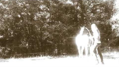 Horse Side Passing Toward Handler