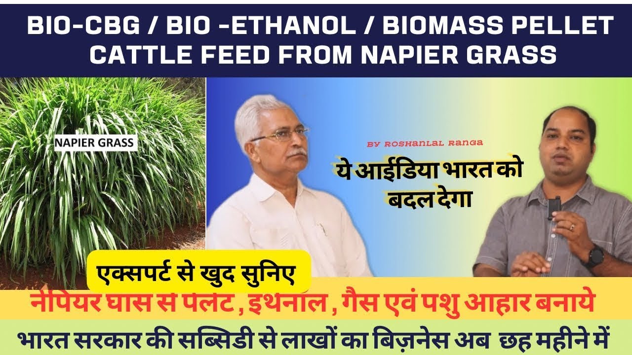 Biomass Pellet from Napier Grass| नेपियर घास से कंप्रेस्ड बायोगैस बायोमास पेलेट बनाये | Waste pellet