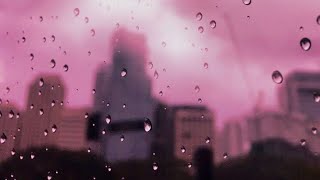 RAIN & THUNDER SOUNDS ASMR  ⛈️😌😴 | Blissful ASMR