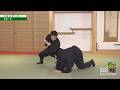 忍法体術・手塚航先生【打・極・投 全て一理】初見良昭の武神館武道　BUJINKAN NINJUTSU - WATARU TEZUKA #2