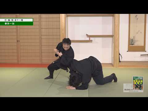 忍法体術・手塚航先生【打・極・投 全て一理】初見良昭の武神館武道