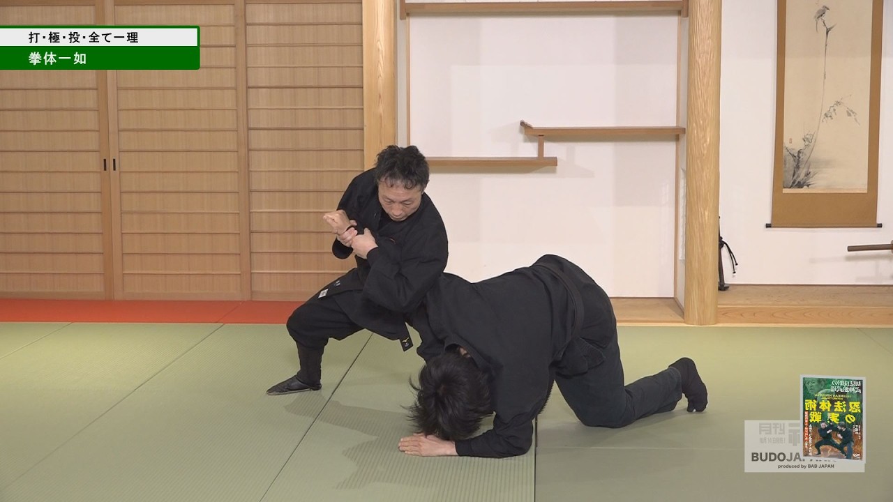 忍法体術・手塚航先生【打・極・投 全て一理】初見良昭の武神館武道　BUJINKAN NINJUTSU - WATARU TEZUKA #2