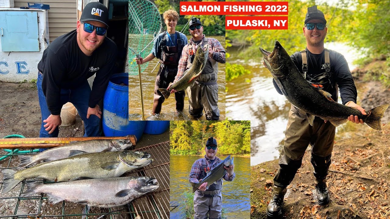 SALMON FISHING PULASKI, NY 2022 **(INSANE HOOKUPS)** YouTube