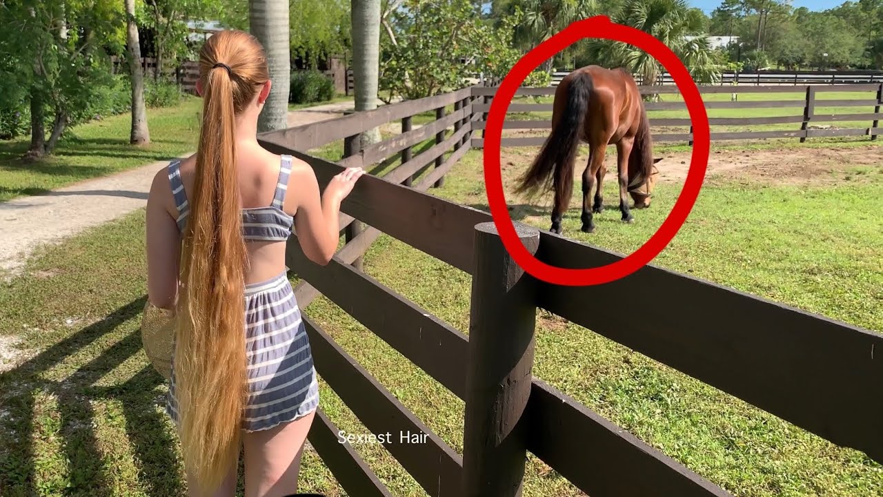 Rapunzel vs Real Horse = Who’s Ponytail is Longer? [4k]
