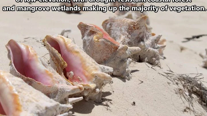 VP5/W1ADX Turks and Caicos. From dxnews.com