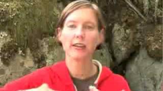 Celebrity Ameriplan: How To *Close* More Leads Than You Are Right Now Profile