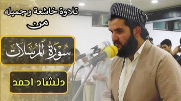 ارح سمعك...تلاوة هادئه ترح القلب والعقل💙 سورە المرسلات کامله و مترجمە للقارئ دلشاد احمد.