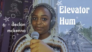 elevator hum - declan mckenna cover