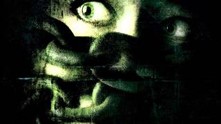 Optimum Vulnerability 2013 Mix