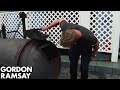 Gordon Ramsay Finds BURNT Chicken Wings in BBQ | Hotel Hell