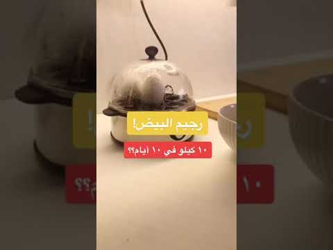 رجيم البيض كيلو في ايام