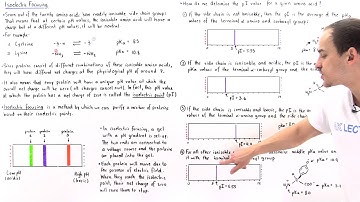 Isoelectric Focusing and Isoelectric Point (Part II)