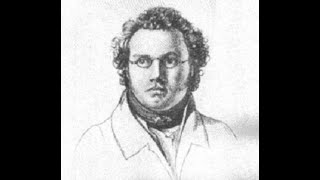 Famous Composers Series  - Franz Schubert (Documentary)