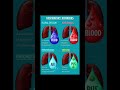 Fluid, Air, Blood, or Pus? 🫁 Respiratory Disorders Made Simple!"#respiratory#respiratorydisorders
