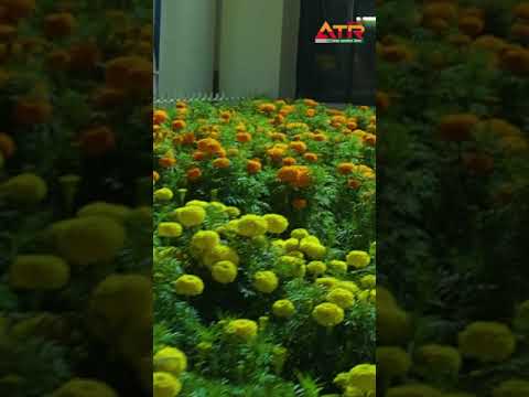 নেছারাবাদের মাহফিল মাঠ প্রস্তুত রাতের ভিউ #shortvideo #mahfil  #viralvideo  #reels #reelsvideo