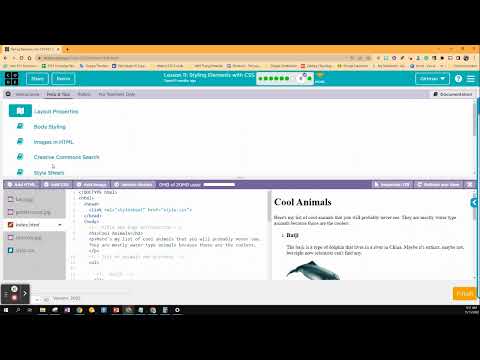 Lesson 11: Styling Elements with CSS: Bubble # 8