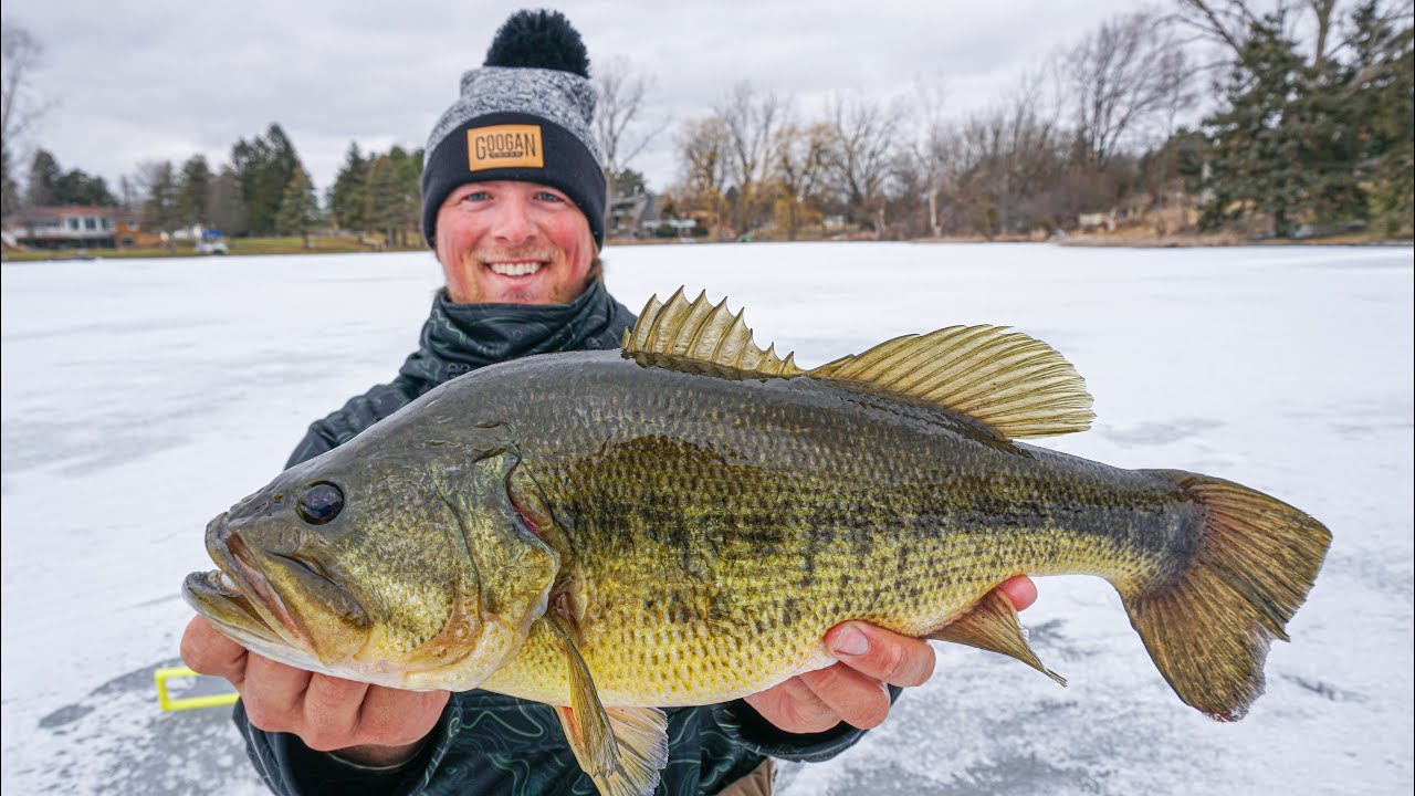 Ice Fishing GIANT Largemouth Bass through the ICE - How to Catch