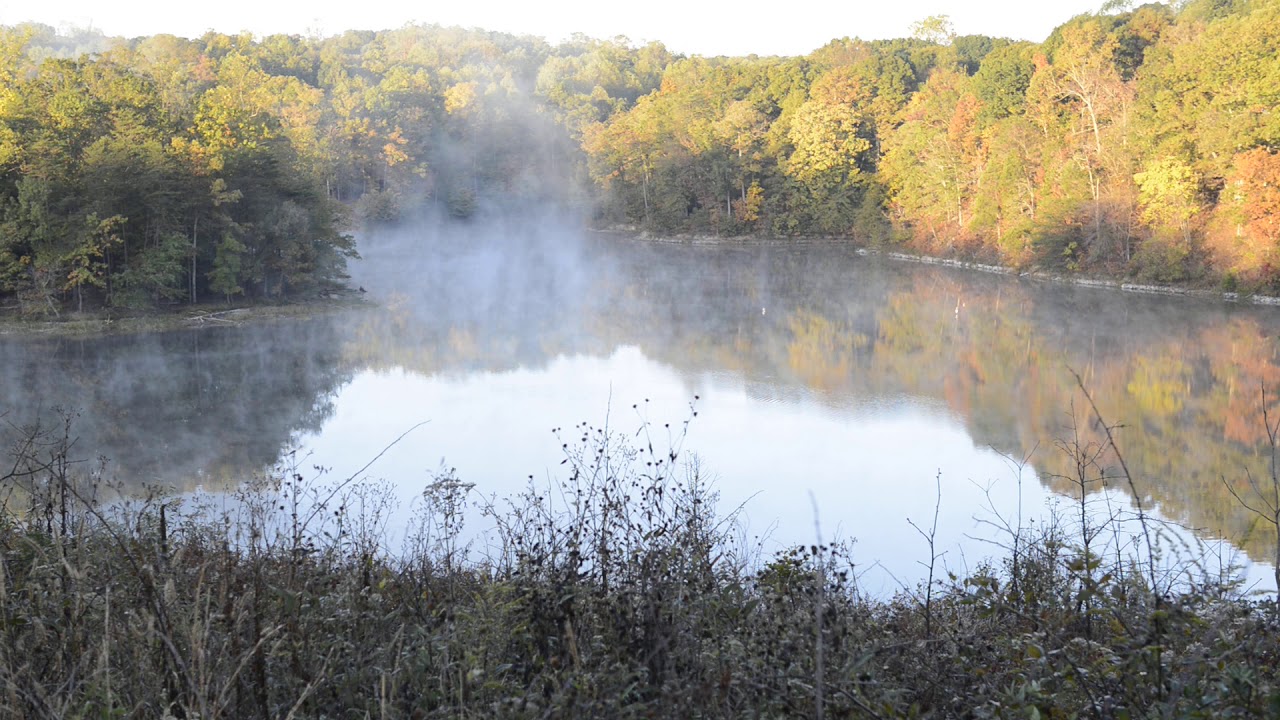 Occoquan Morning 2019 YouTube