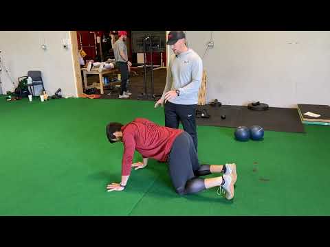 Quadruped Pos  Protraction/Retraction