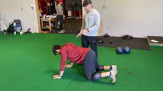 Quadruped Pos  Protraction/Retraction