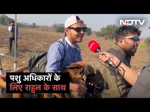 Rahul Gandhi की Bharat Jodo Yatra: German Shepherd को साथ लेकर पशु अधिकारों की बात | Des Ki Baat