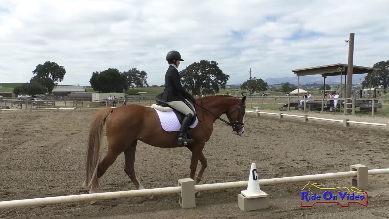 horseshoe bend 183D Sophie Acker on Snow Angel Intro Dressage Shepherd Ranch June 2019