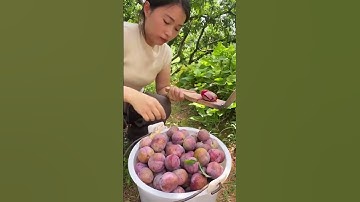 Squeezing process of fresh plums
