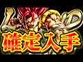 【ゴリ押し】これがLRシャレットを確定で入手する方法です【ドラゴンボールレジェンズ】