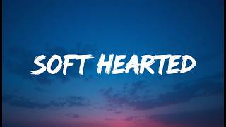 ❤️Nightcore~ Soft Hearted | Nightcore Heart_2.0 | Official Lyrics Video | Copyright - Free Music screenshot 5