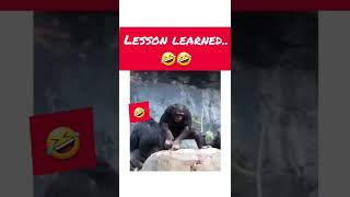 lesson learned..🤣🤣 Wealth