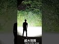 Powerful 2000LM LED Tactical Flashlight: USB Rechargeable Zoom Torch for Camping & Emergency