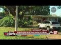 Tampa man murdered in his home; police searching for car