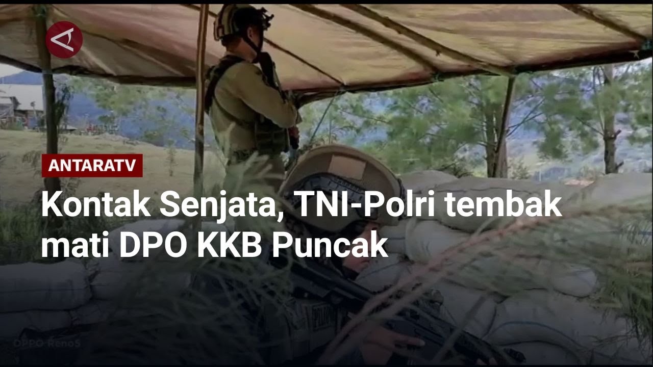Kontak Senjata, TNI-Polri tembak mati DPO KKB Puncak