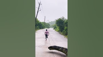 anaconda snake #shorts  #anaconda #snake #saamp #nagin #bigsnake #ytshorts #python