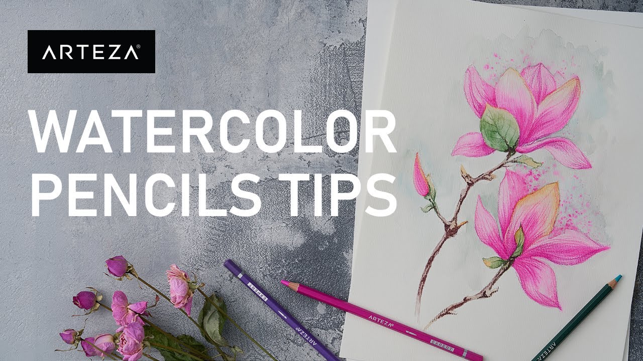 HOW TO USE WATERCOLOR PENCILS - Guide for Beginners 