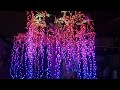 DMX512 smart controlled Multi color LED willow tree lights