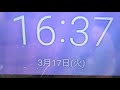 豚丸家族の井戸端会議