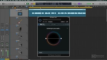 iZotope RX 10 100: RX 10