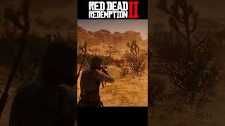 Lion Attack On Me | Lion Hunting | Red Dead Redemption 2 #rdr2