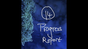 MSTC 101, Video 14:  Progress Report 1
