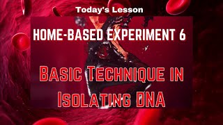 Famous Let learn Biology - Home-based Experiment 6 : 'Basic Technique in Isolating DNA' Net Worth