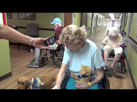 comfort-dogs-nursing-home-visit