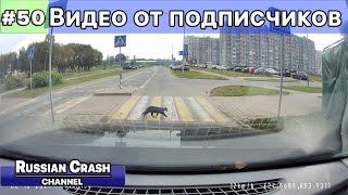 Дтп. Видео  От Подписчиков Канала Russiancrash. Выпуск #50