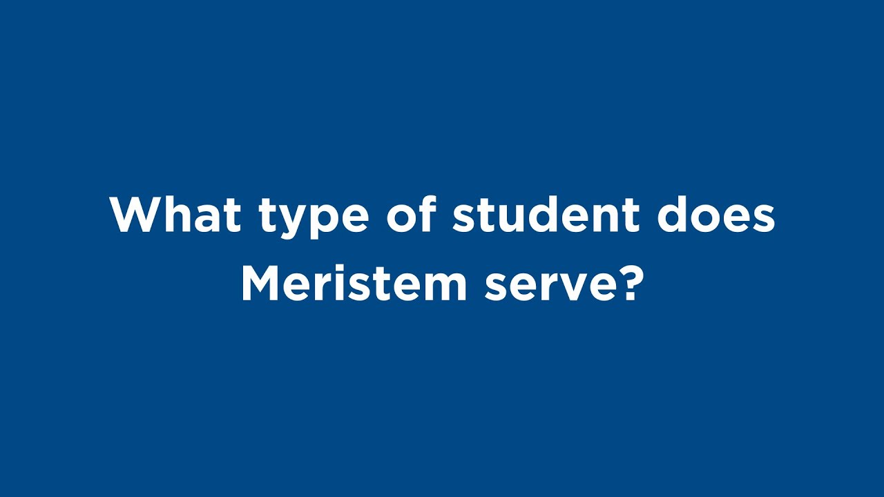 Who Does Meristem Serve? Eligibility & Support Levels Explained
