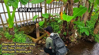 Rejeki Nomplok Temukan Sarang Ikan di Spot Kecil Tak Terduga‼️