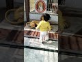 পুজো দিতে কোথায় গেল ???#viralshorts #babygirl #youtubeshorts #trending #mondir #pujavlog #cutebaby