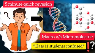 Biomacromolecules Biomicromolecules Class 11 Biology 5 Minute Quick Learning